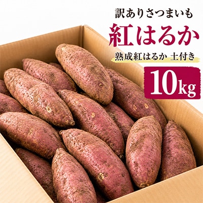 訳ありさつまいも　紅はるか10kg　佐渡島産