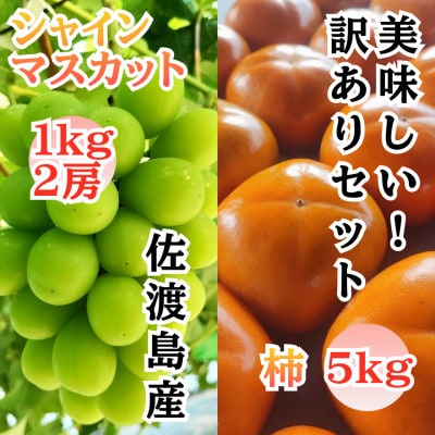 【発送月固定定期便】訳ありシャインマスカット1kg・訳あり種なし柿5kgセット 佐渡島産全2回