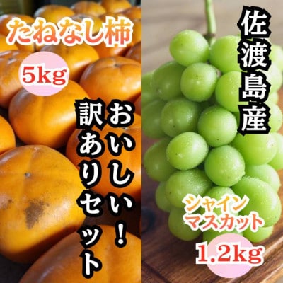 【発送月固定定期便】訳ありシャインマスカット1.2kg・訳あり柿5kg(箱の重さ込)全2回