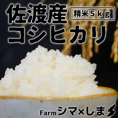 【5kg精米】新潟県佐渡産コシヒカリ(令和6年産・栽培期間中農薬化学肥料半減)