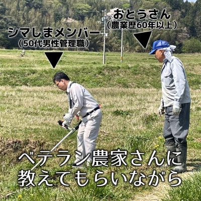 【5kg精米】新潟県佐渡産コシヒカリ(令和6年産・栽培期間中農薬化学肥料半減)