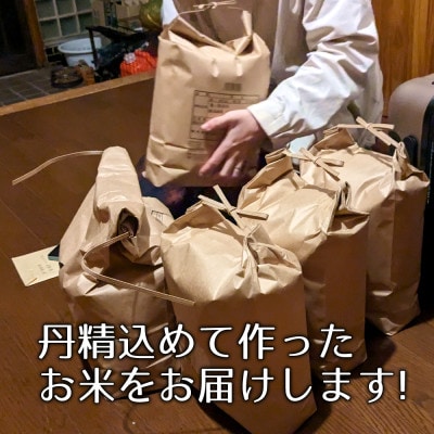 【5kg精米】新潟県佐渡産コシヒカリ(令和6年産・栽培期間中農薬化学肥料半減)