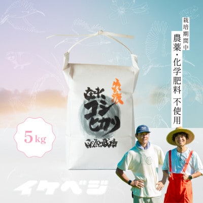 新潟県佐渡産 令和7年産 【在来コシヒカリ】 白米 5kg