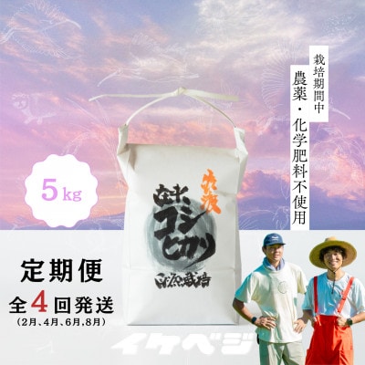 【発送月固定定期便】新潟県佐渡産【在来コシヒカリ】白米 5kg全4回