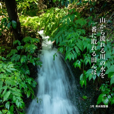 【発送月固定定期便】新潟県佐渡産【在来コシヒカリ】白米 5kg全4回