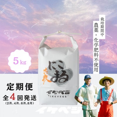 【発送月固定定期便】新潟県佐渡産【にこまる】玄米 5kg全4回