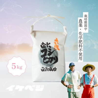 【発送月固定定期便】【在来コシヒカリ】玄米 5kg 新潟県佐渡産全6回