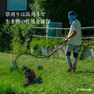【発送月固定定期便】【在来コシヒカリ】玄米 5kg 新潟県佐渡産全6回