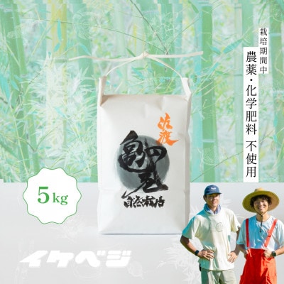 【発送月固定定期便】【亀の尾】白米 5kg 新潟県佐渡産全6回