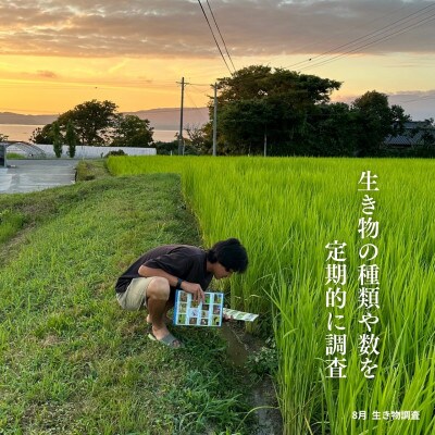 【発送月固定定期便】【亀の尾】白米 5kg 新潟県佐渡産全6回