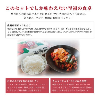 キムチの家　白菜キムチ・きゅうりキムチ各500g食べ比べと佐渡産新米コシヒカリ精米10kgセット