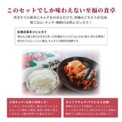 キムチの家　白菜キムチ・きゅうりキムチ各500g食べ比べと佐渡産新米コシヒカリ精米2kgセット　