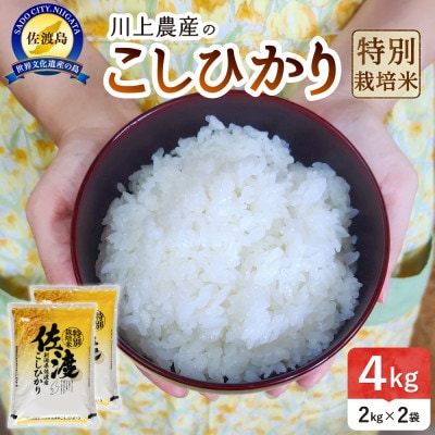 佐渡　川上農産のコシヒカリ 精米　4kg(2kg×2袋)