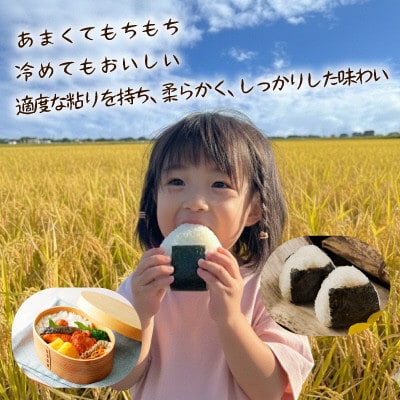 【さとふる限定】佐渡　川上農産のコシヒカリ 精米(5kg)