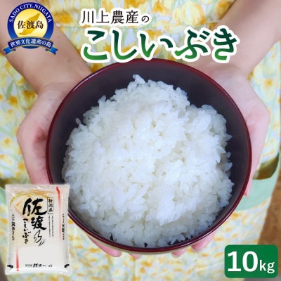 佐渡　川上農産のこしいぶき　精米(10kg)