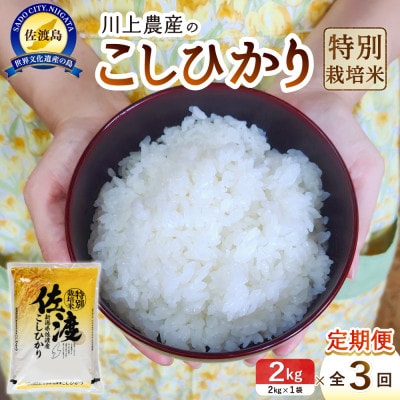 【毎月定期便】佐渡 川上農産のコシヒカリ(精米2kg)全3回