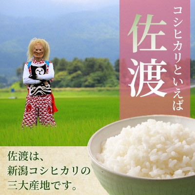 【毎月定期便】佐渡 川上農産のコシヒカリ(精米2kg)全3回