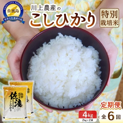 【毎月定期便】佐渡 川上農産のコシヒカリ 精米 4kg(2kg×2袋)全6回