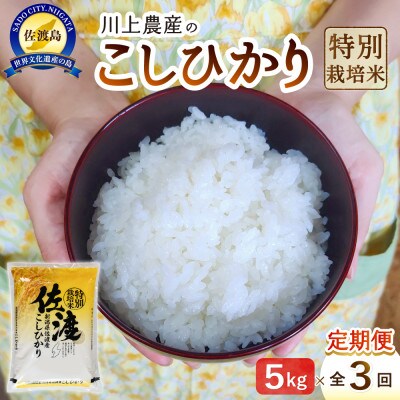 【毎月定期便】佐渡 川上農産のコシヒカリ 精米(5kg)全3回