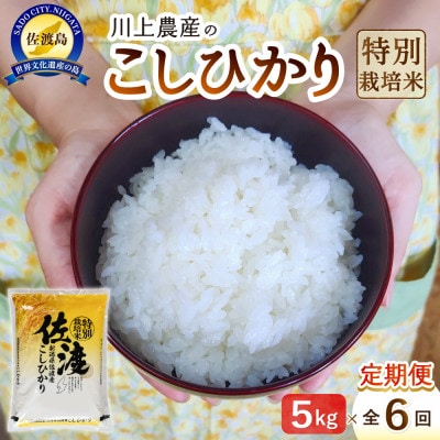 【毎月定期便】佐渡 川上農産のコシヒカリ 精米(5kg)全6回