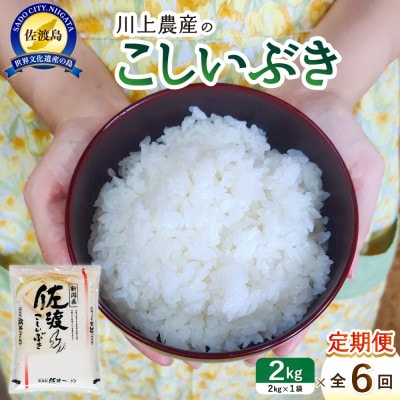 【毎月定期便】佐渡 川上農産のこしいぶき 精米(2kg)全6回