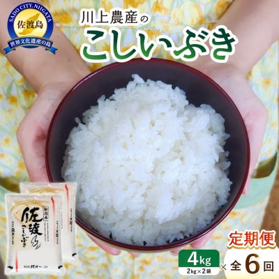 【毎月定期便】佐渡 川上農産のこしいぶき 精米4kg(2kg×2袋)全6回