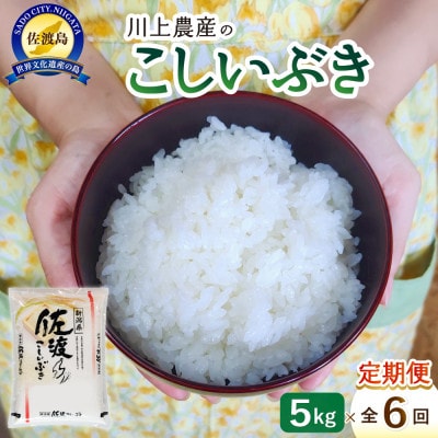 【毎月定期便】佐渡 川上農産のこしいぶき 精米(5kg)全6回