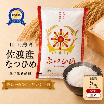【毎月定期便】【新品種】佐渡産 なつひめ 5kg(精米)　川上農産のお米全6回