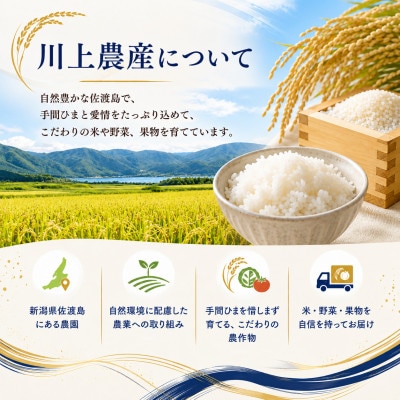 【毎月定期便】【新品種】佐渡産 なつひめ 5kg(精米)　川上農産のお米全6回