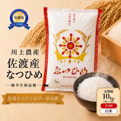 【毎月定期便】【新品種】佐渡産 なつひめ 10kg(5kg×2袋)精米　川上農産のお米全3回