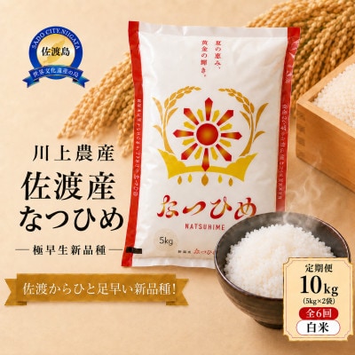 【毎月定期便】【新品種】佐渡産 なつひめ 10kg(5kg×2袋)精米　川上農産のお米全6回