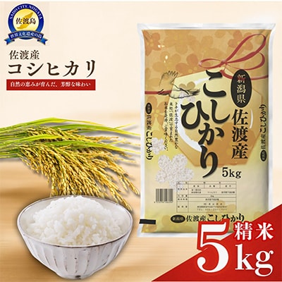 佐渡産コシヒカリ(精米)　5kg