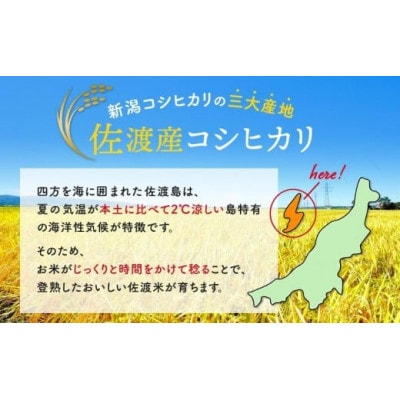 佐渡産コシヒカリ(精米)　5kg
