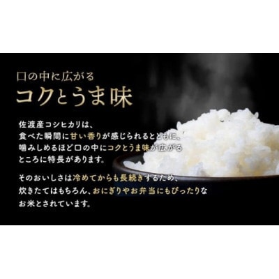 【毎月定期便】佐渡産コシヒカリ5kg全6回