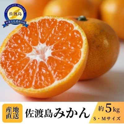 【数量限定】【2026年11月中旬以降順次発送】佐渡島産みかん(ゆら早生) S・Mサイズ 約5kg
