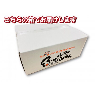 【数量限定】【2026年11月中旬以降順次発送】佐渡島産みかん(ゆら早生) S・Mサイズ 約5kg