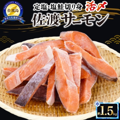 佐渡サーモン切身　約1.5kg