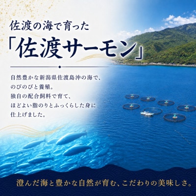 佐渡サーモン切身　約1.5kg
