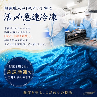 佐渡サーモン切身　約1.5kg