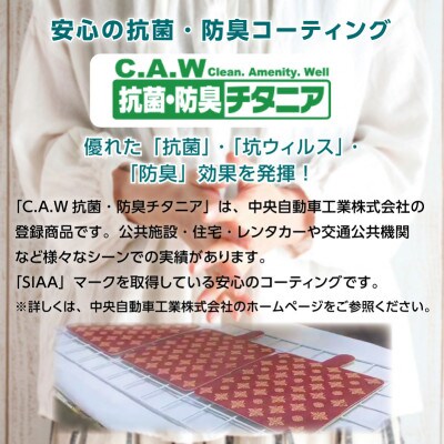 TENPYO PATTERN　スマートフォンケース〈汎用型〉BU(仏像)Mサイズ