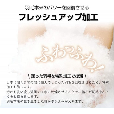 羽毛合掛け布団 ダブルサイズ ダウン90%1.0kg立体キルト 8か所ループ付 クリーム