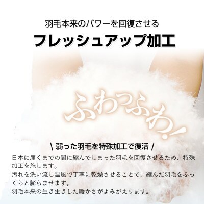 2枚組【春夏用羽毛肌掛け布団】洗える肌布団シングル ダウン90%0.3kg ネイビー/グレーセット