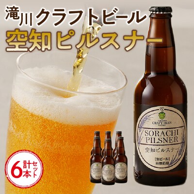 「ソラチエース」使用のピルスナー6本