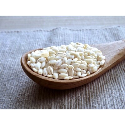 【豊富な食物繊維】もち麦12ヶ月連続お届け