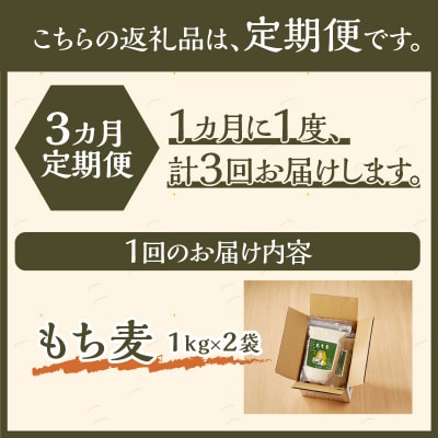 【豊富な食物繊維】もち麦3ヶ月連続お届け