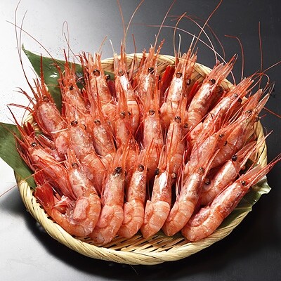 【春のお祝い品】【滝川市からの福袋(大吉)】