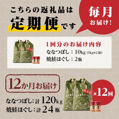 【令和7年新米先行受付】12ヶ月連続お届け!ななつぼし10kg 北海道 定期 贈答 鮭フレーク