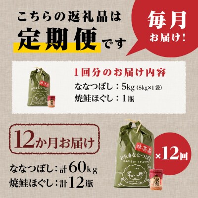 【令和7年新米先行受付】12ヶ月連続お届け!ななつぼし5kg 北海道 定期 贈答 鮭フレーク 特A
