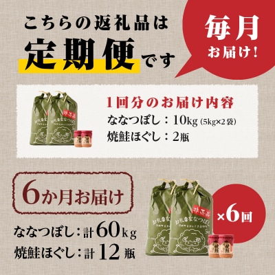 【令和7年産】6ヶ月連続お届け!ななつぼし10kg 特A ブランド米 米 白米 精米 北海道 定期便