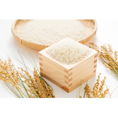 3ヶ月連続お届け!令和3年産ゆめぴりか2kg